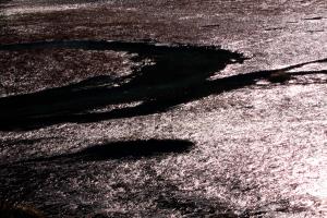 Majda debeljak_PTICA OD KOD IN KAM